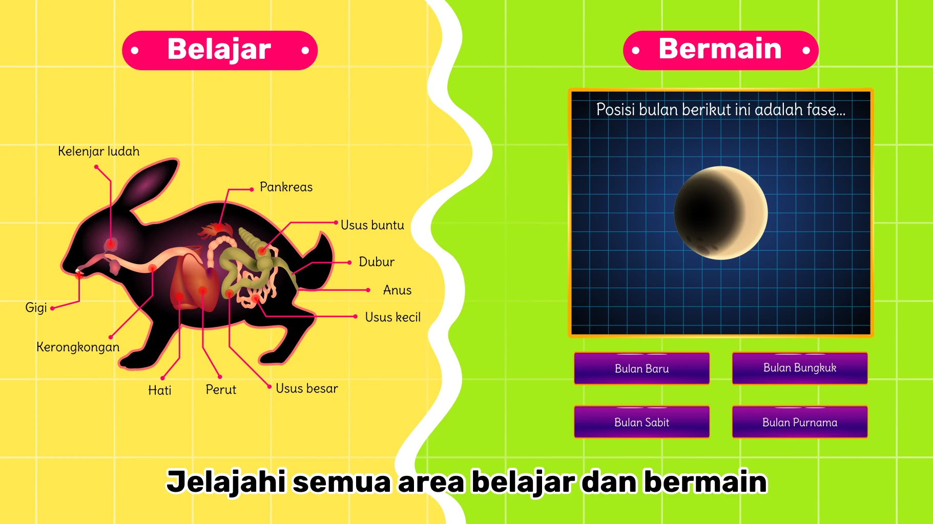 Marbel Sains SD 4-5 screenshot